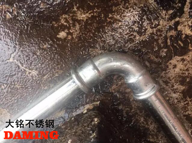色黄香蕉一区视频香蕉视频污下载给水管