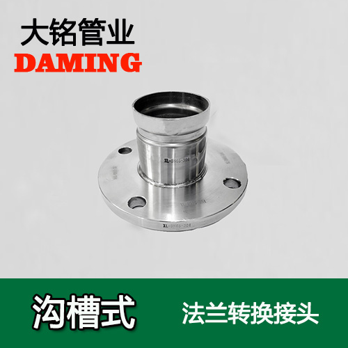 DN250 沟槽式香蕉视频污下载法兰转换直通接头（304 316L）