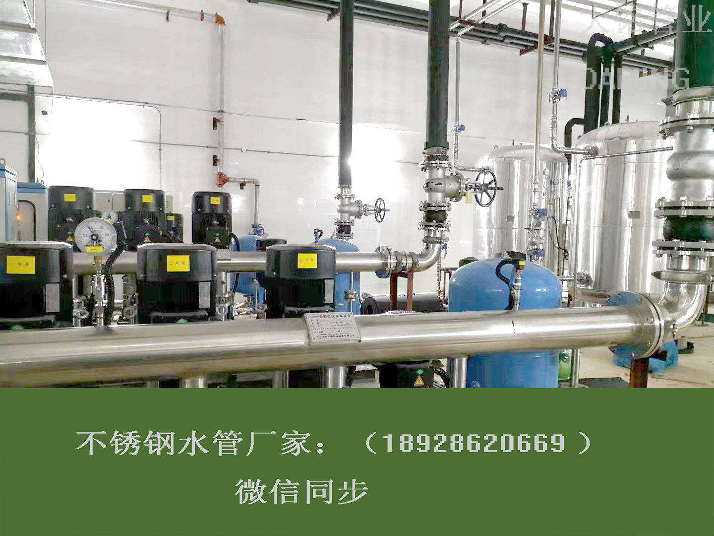 广东环压香蕉视频污下载91黄色香蕉视频