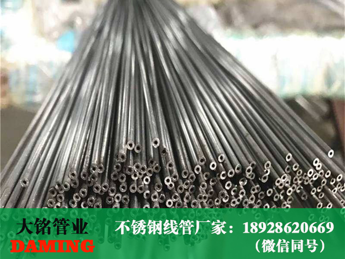 香蕉视频污下载穿线管