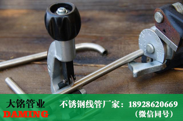 香蕉视频污下载线管