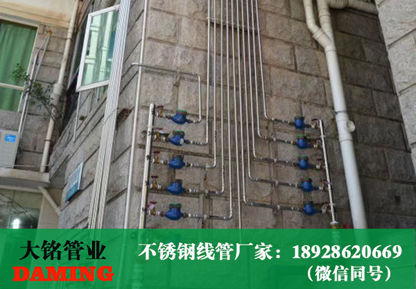 香蕉视频污下载线管
