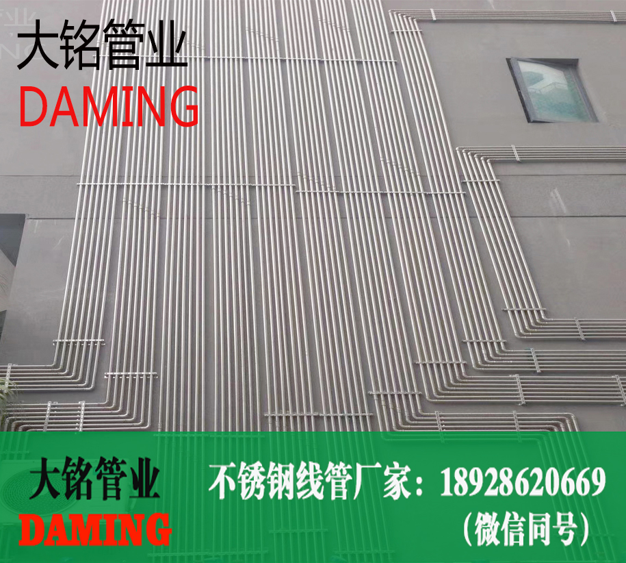 香蕉视频污下载线管