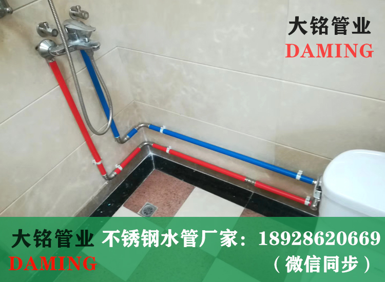 316L薄壁香蕉视频污下载水管