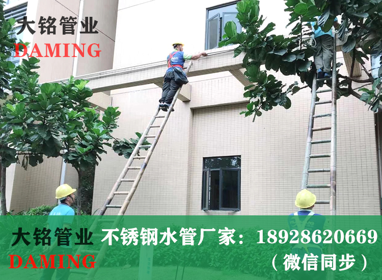 薄壁香蕉视频污下载给水管