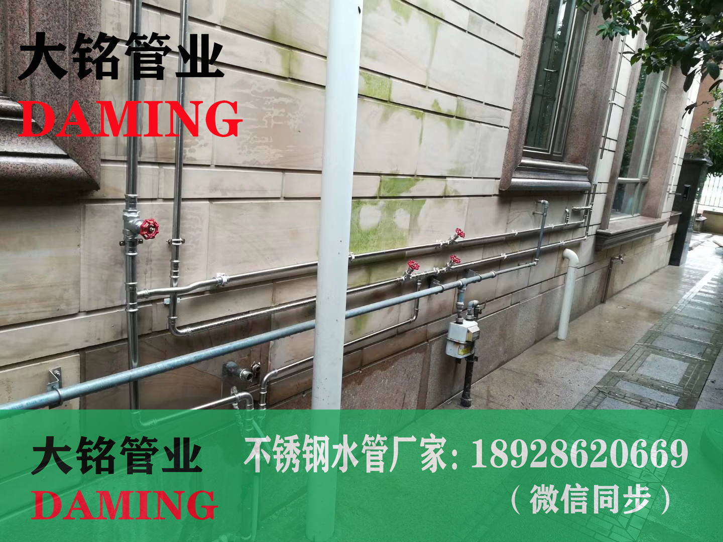 香蕉视频污下载压接管