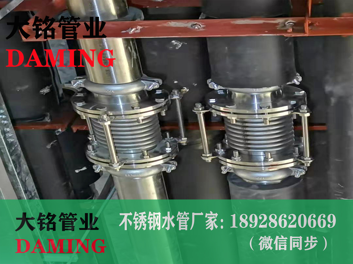 法兰式香蕉视频污下载波纹补偿器