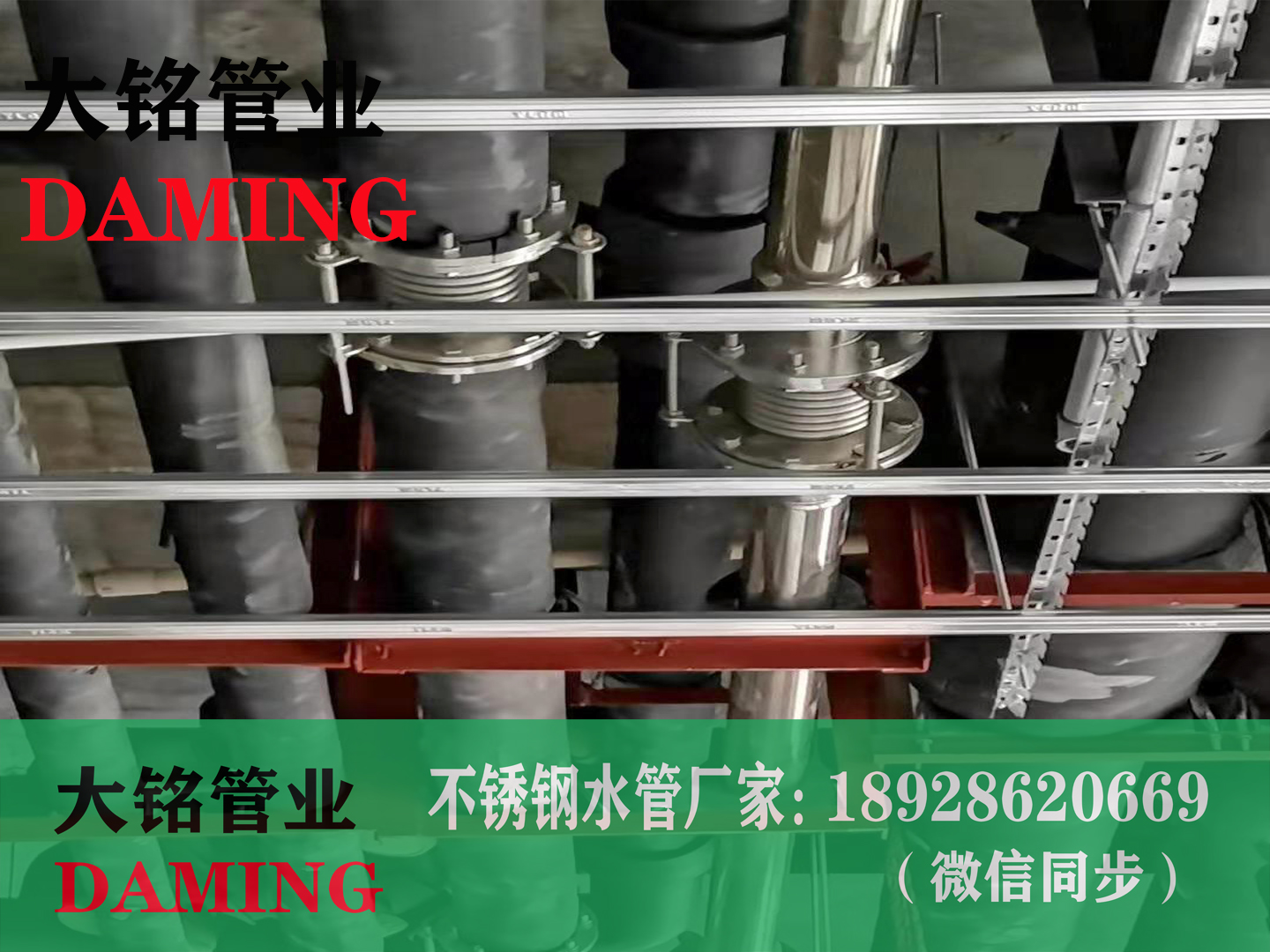 法兰式香蕉视频污下载波纹补偿器