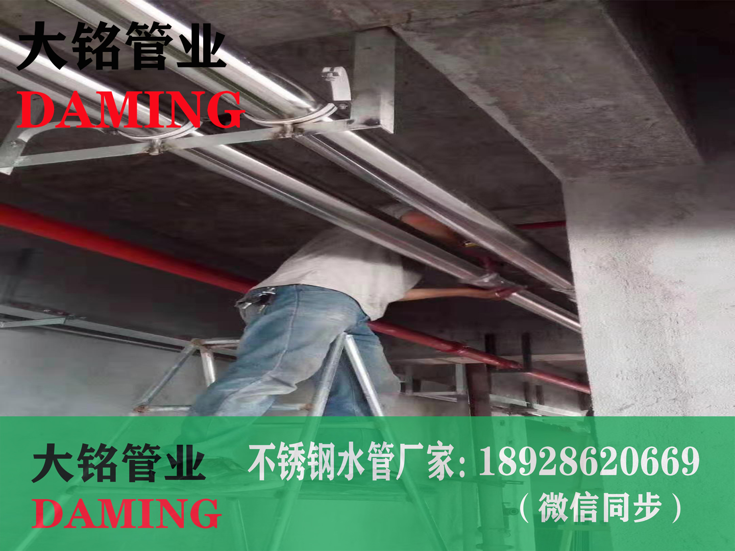 薄壁香蕉视频污下载管道
