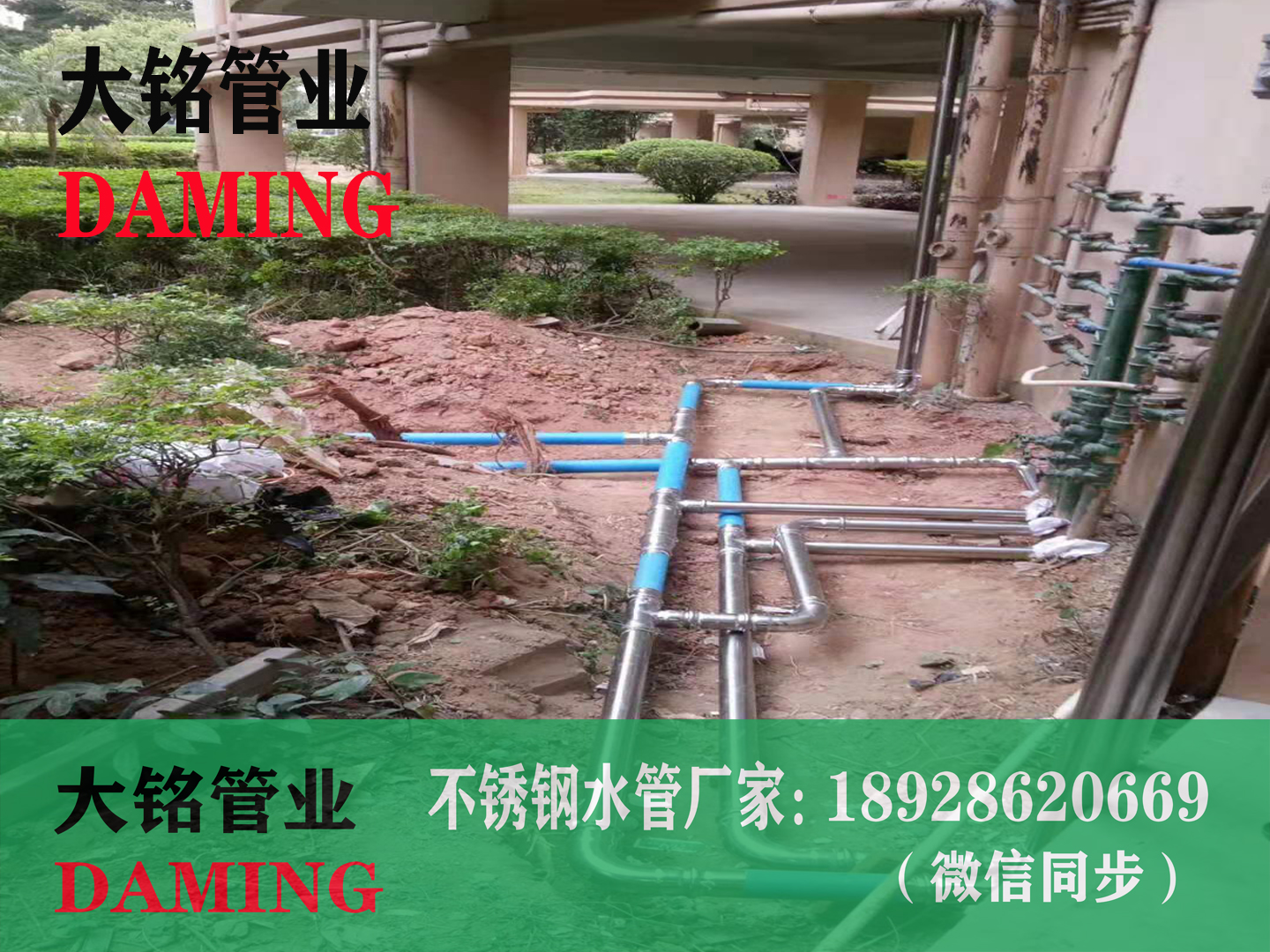  佛山SUS304香蕉视频污下载卡压弯头dn32