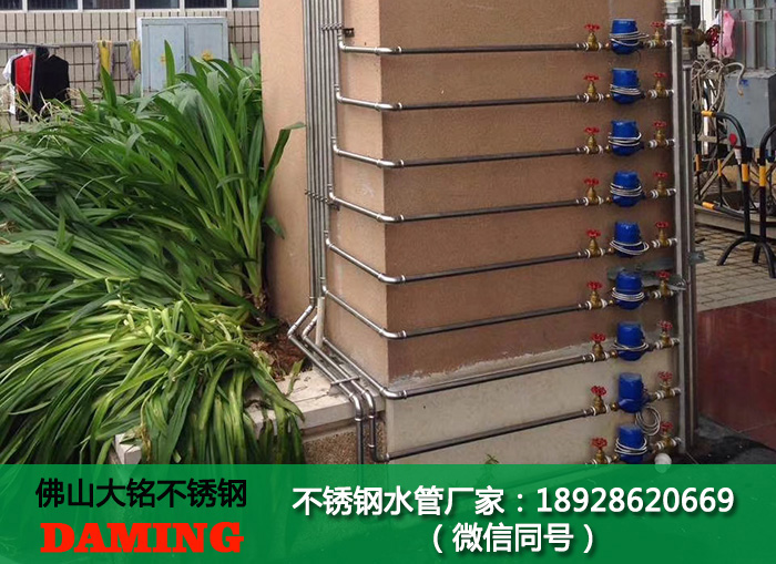 卫生级香蕉视频污下载水管
