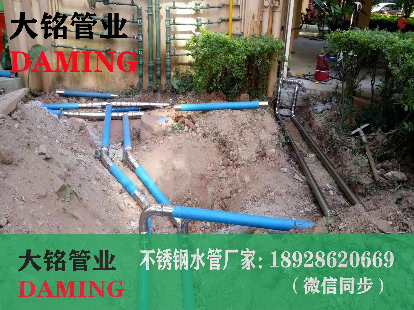 香蕉视频污下载卡压弯头