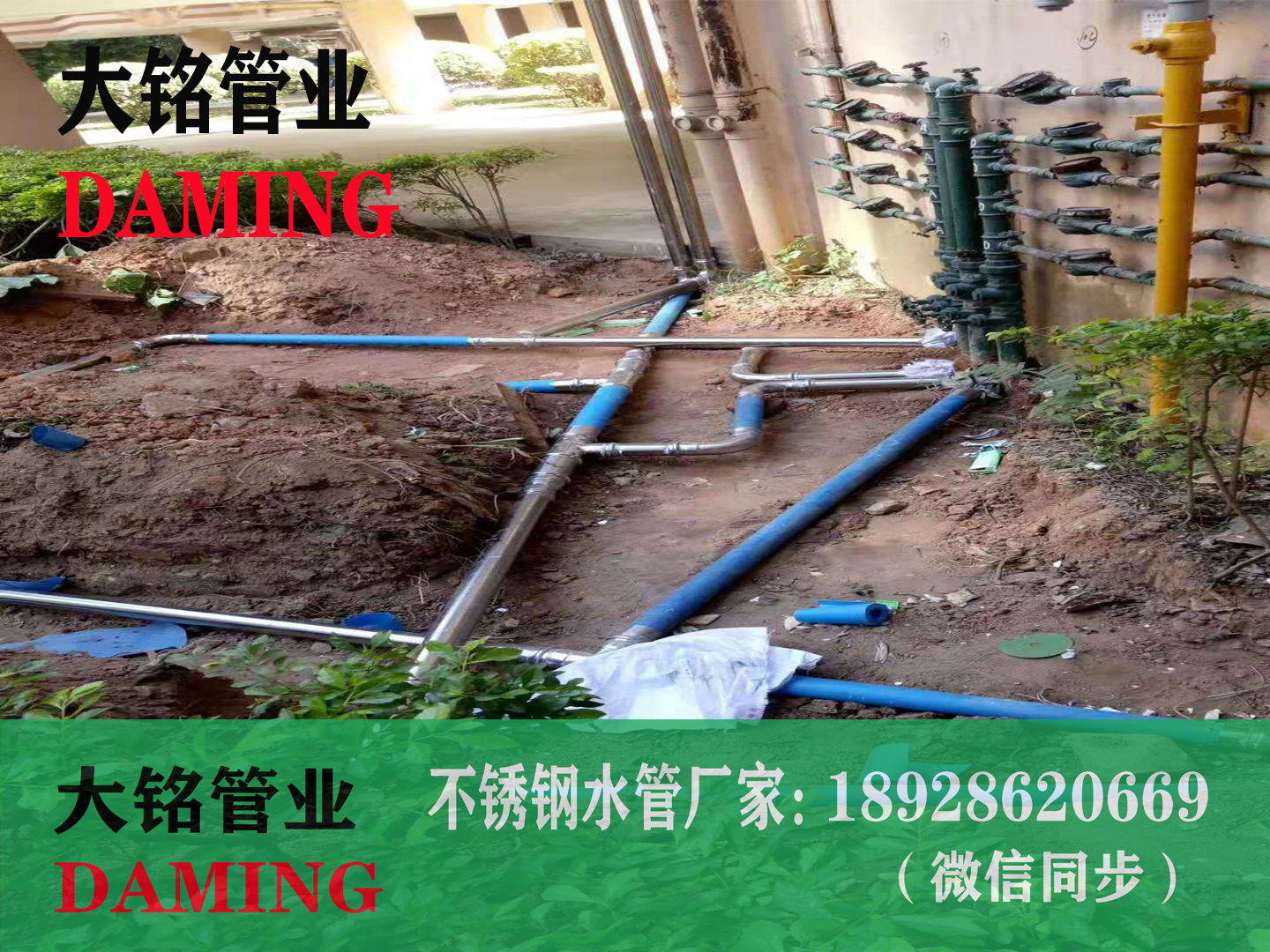 香蕉视频污下载给水管