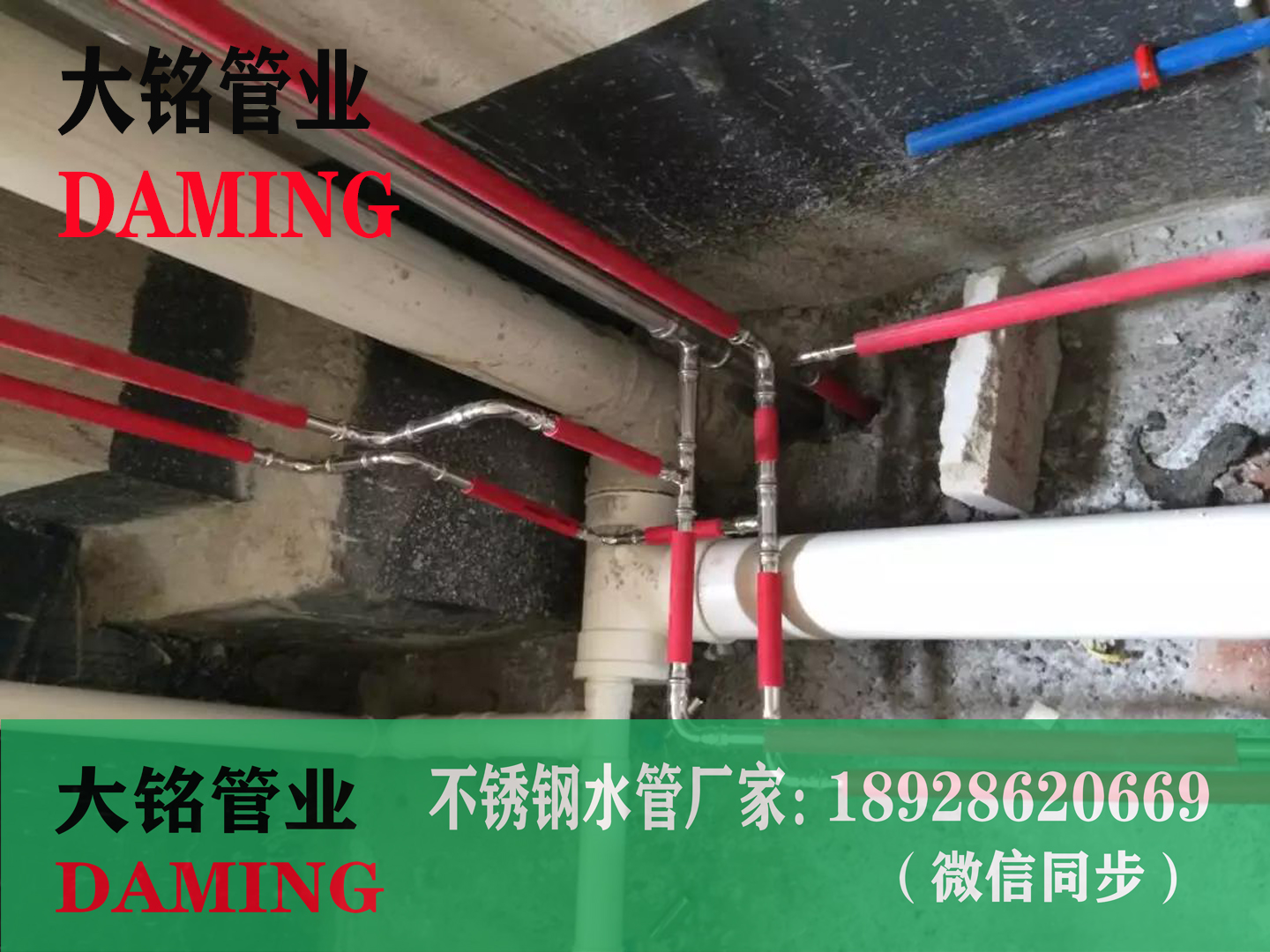 304香蕉视频污下载双卡压91黄色香蕉视频