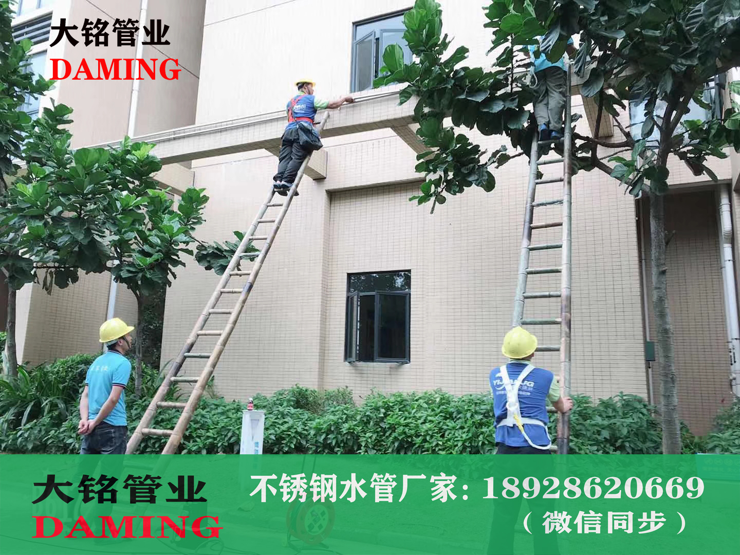 香蕉视频污下载饮用水管
