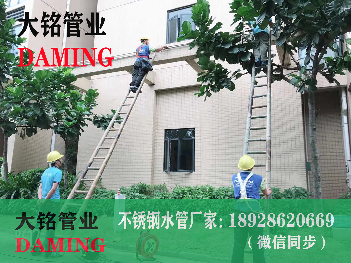 316L香蕉视频污下载水管