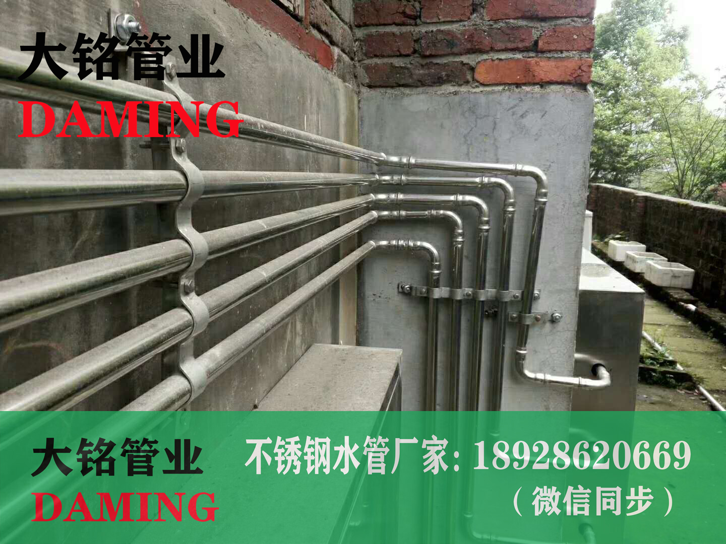 香蕉视频污下载给水管