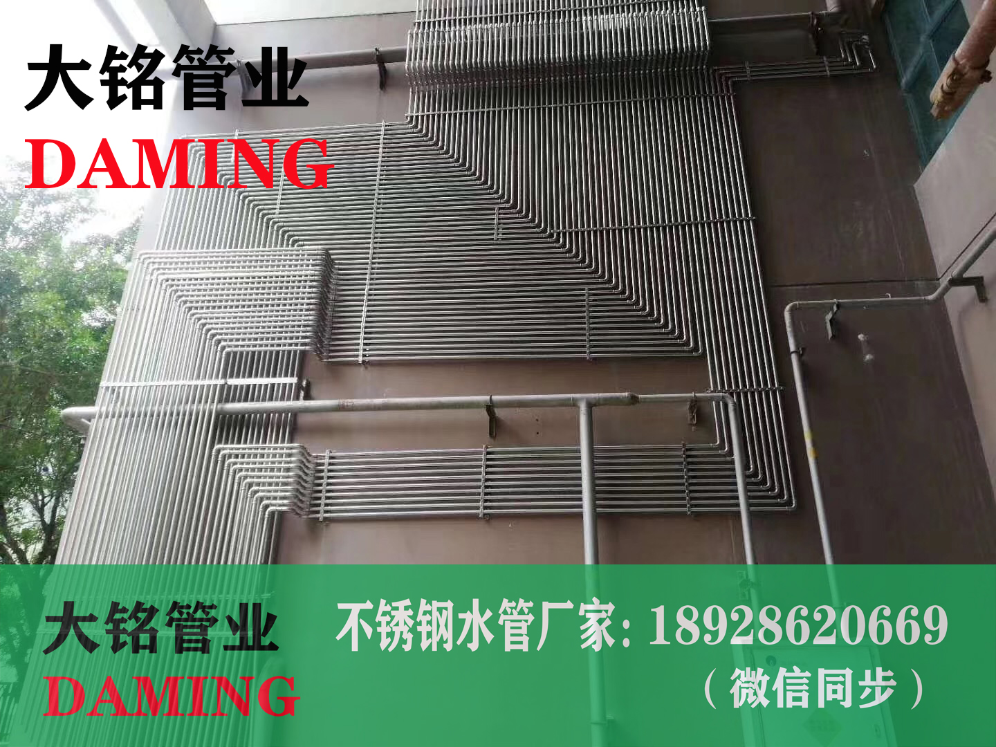 酒店使用卫生级薄壁香蕉视频污下载管